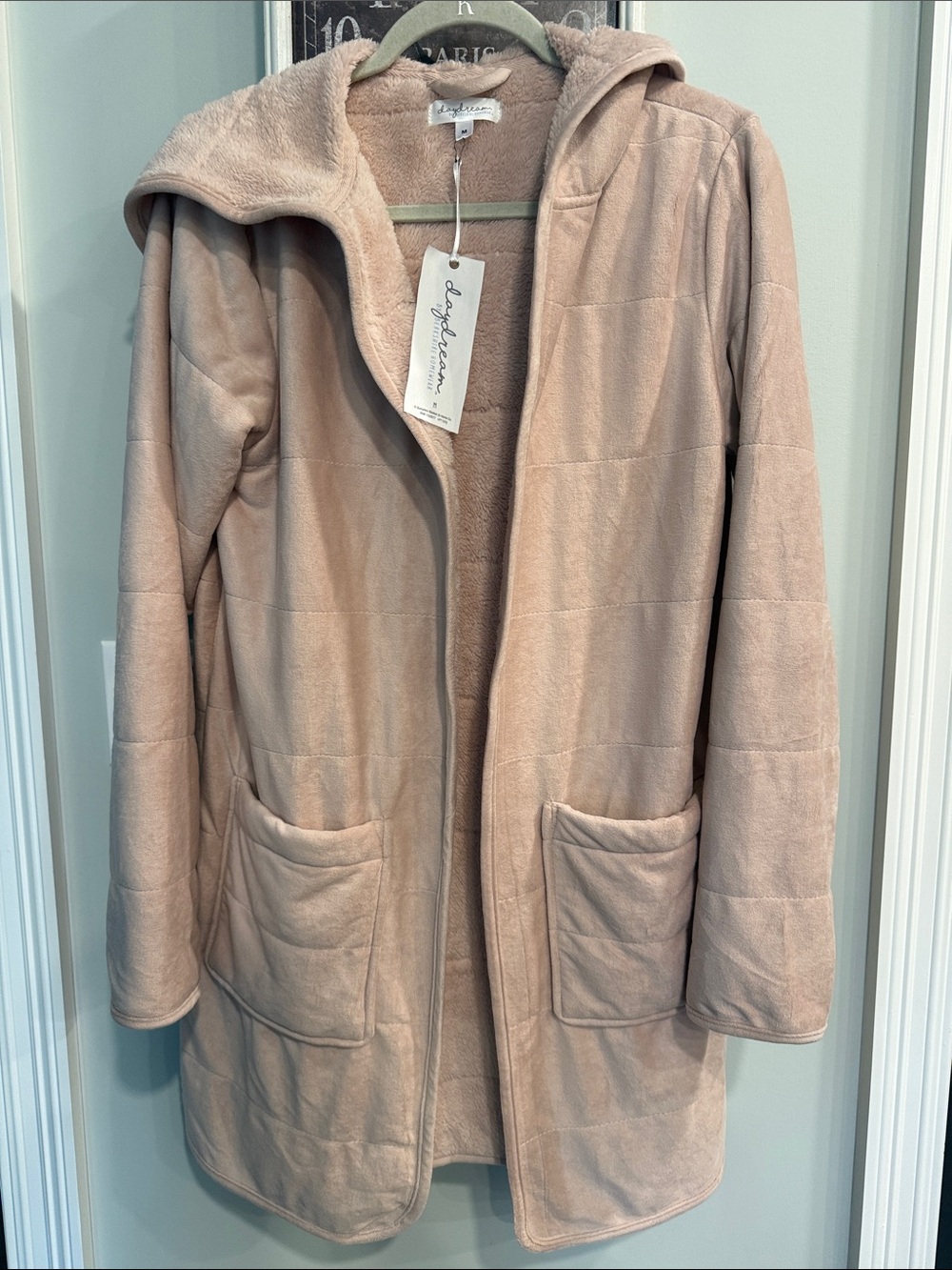 Daydream Hooded Teddy Jacket in Blush